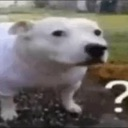 :emoji_7: