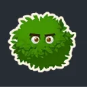 bush