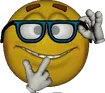 vnerd