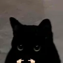 Umm