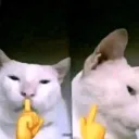 Sigma_Sigma_Boi