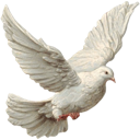 emoji_26