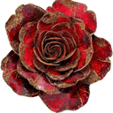 red_flower