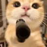 :1493651825721610360: