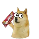 Doge