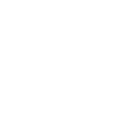 voice