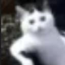 :emoji_100: