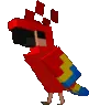 ParrotDance