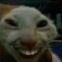 :rohitlaugh: