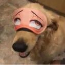 errr