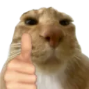 ok