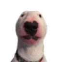 Walter Discord emoji