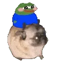 pepepug