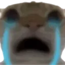 cryingcat2