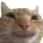 swagsmile Discord emoji