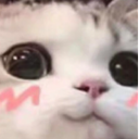 emoji_58 Discord Emoji from Break And Steal An Egg Official Stock Notifier