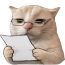 :catnoted: