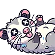 opossumdead