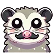 opossummustache
