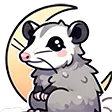 opossummoon