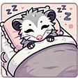 opossumsleepy