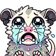 opossumsadcry