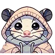 opossumhoodie
