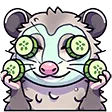 opossumfacemask