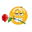 Rose2