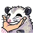 opossumhold