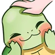 turtleheadpat
