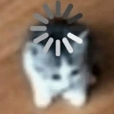 :uhh:
