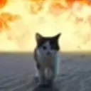 boom