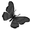 ucbutterflyblack Discord emoji