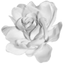 ucflowerrose Discord emoji