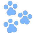 paws
