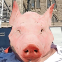 :LePig: