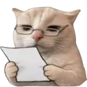 226280catnoted
