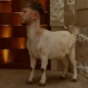 THE_GOAT