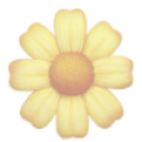 yellow_flower
