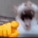 :LOSER_LMAO: