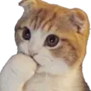 0Neko_Catacafe_EMO28