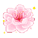 blossom67 Discord emoji