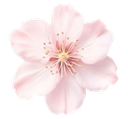 3_flower1 Discord sticker from النهاية