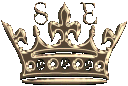 Gold crown with the letters S and E floating above it.