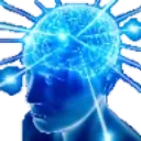 bigbrain