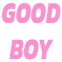 gooddboy