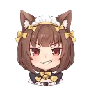 004_kittycafe