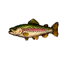 River_Trout