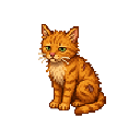 Stray_Cat